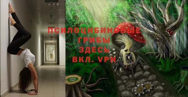 ECSTASY Мегион