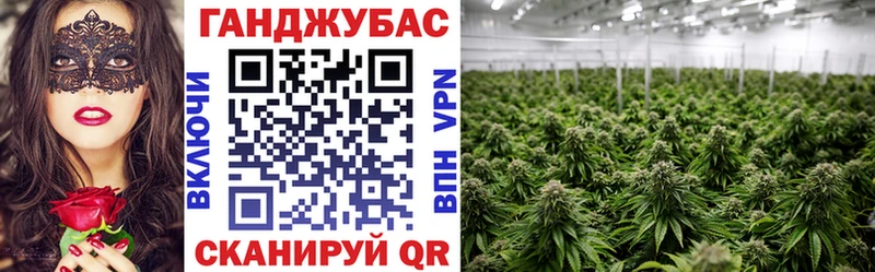 продажа наркотиков  Красково  Каннабис MAZAR 